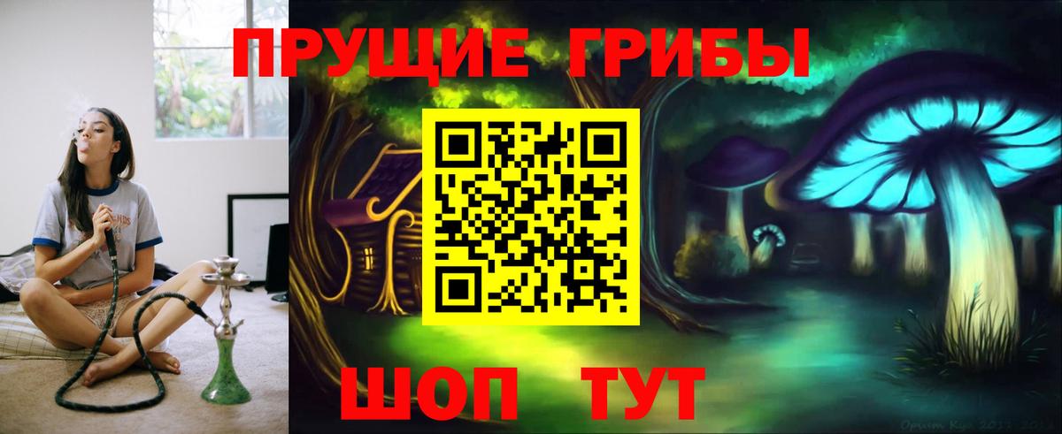 Галлюциногенные грибы Psilocybe Комсомольск-на-Амуре